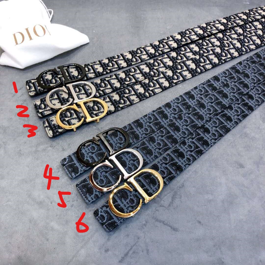 Dior Saddle Dior Oblique Belt - DopestKickz