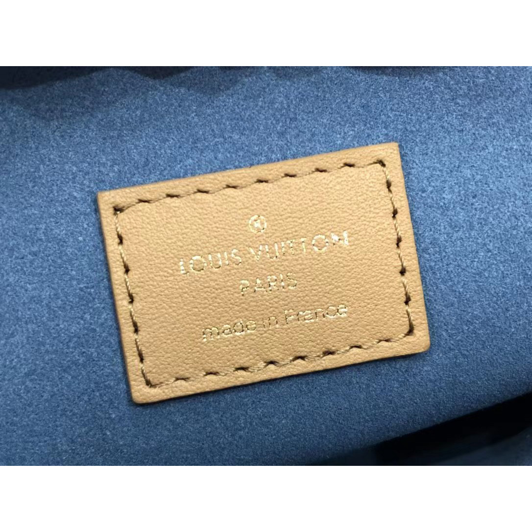 Louis Vuitton  Handbag （20 x 16 x 12cm） - DopestKickz