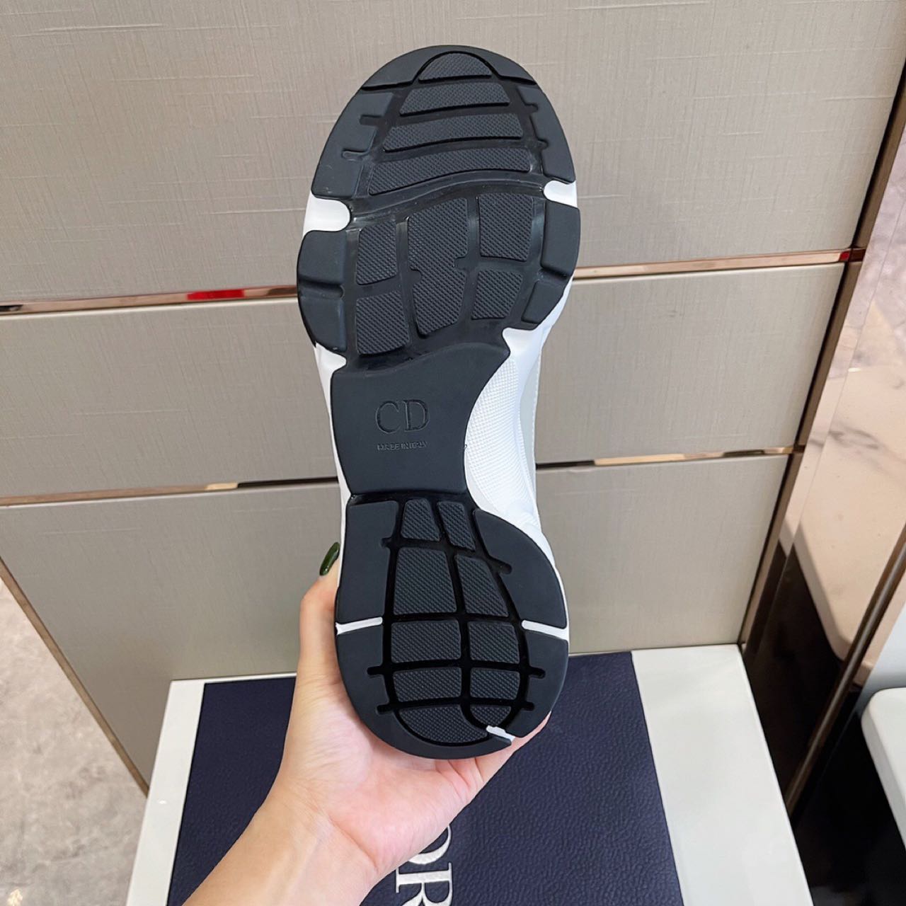 Dior B22 Sneaker  - DopestKickz