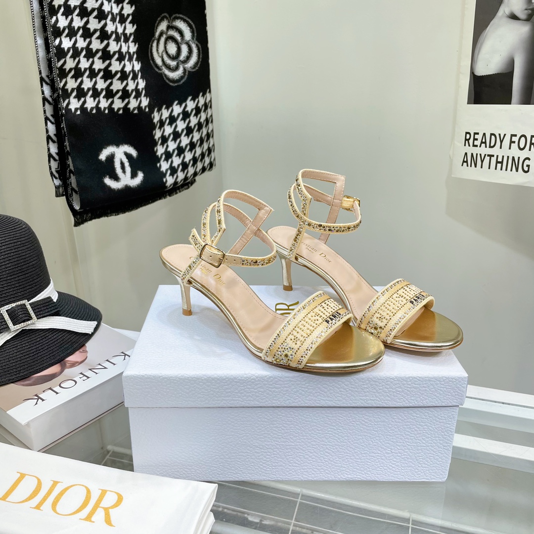 Dior Logo High Heeled Sandals(6.5CM) - DopestKickz