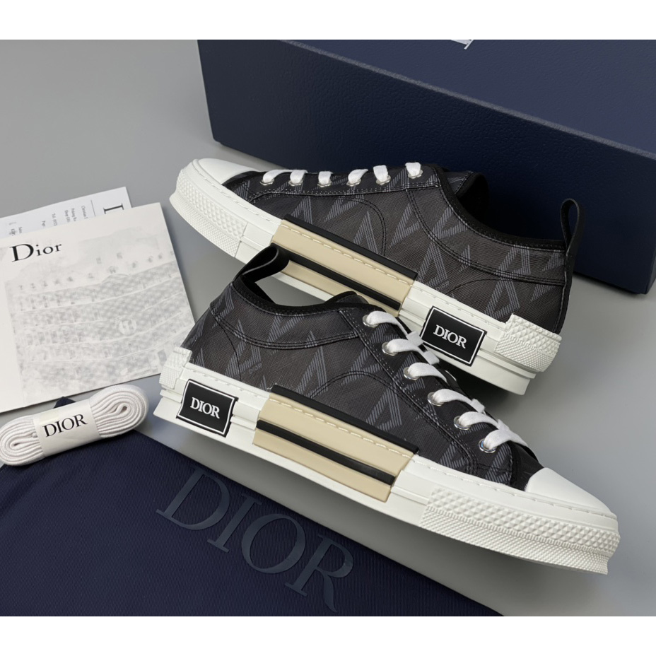 Dior B23 Low-Top Sneaker - DopestKickz