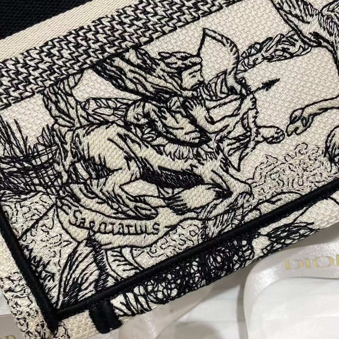 Dior Oblique Embroidered Book Tote - DopestKickz