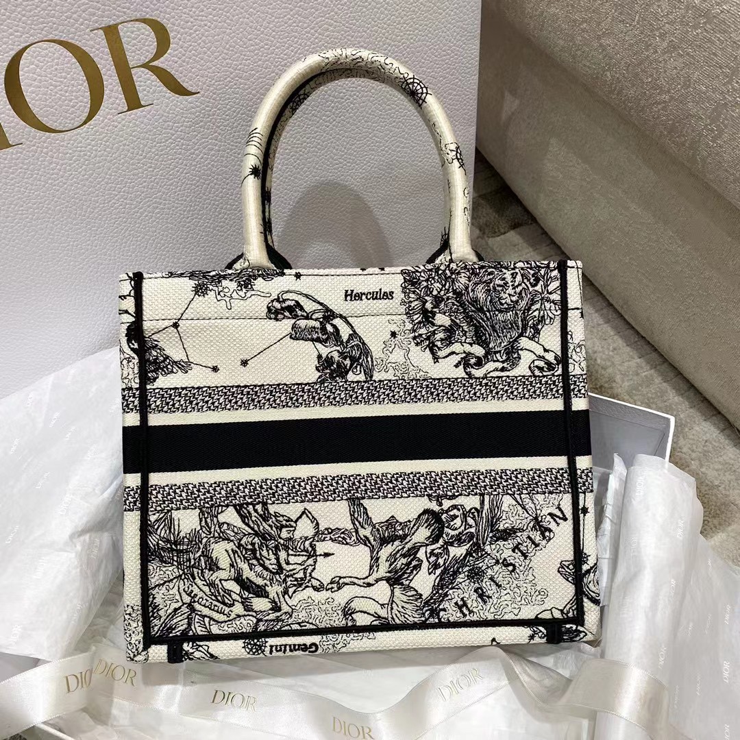 Dior Oblique Embroidered Book Tote - DopestKickz