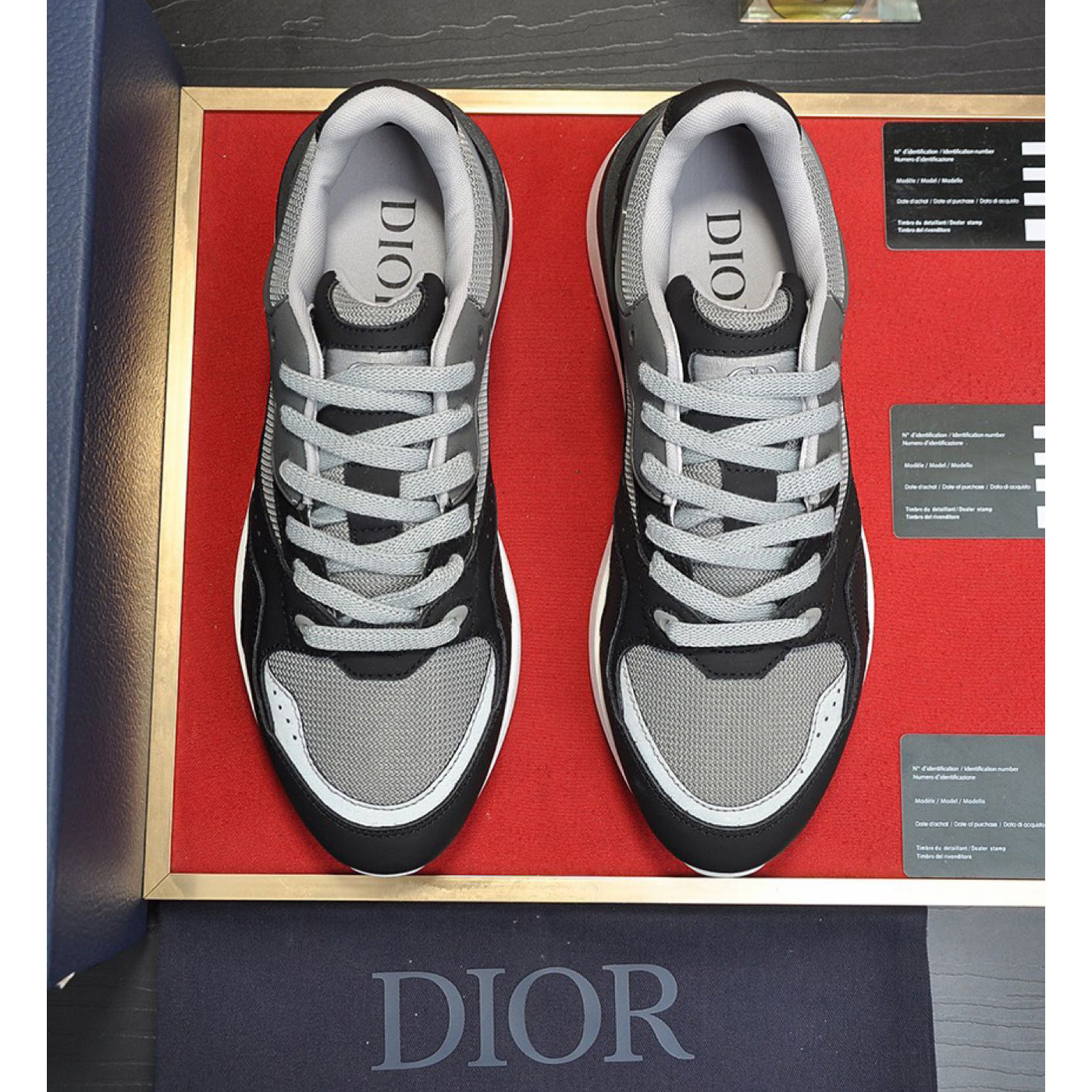 Dior B29 Low-Top Sneaker - DopestKickz