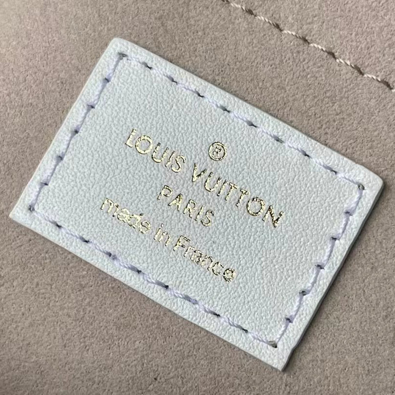 Louis Vuitton Speedy Bandoulière 20 (20.5-13.5-12cm)     M20751 - DopestKickz