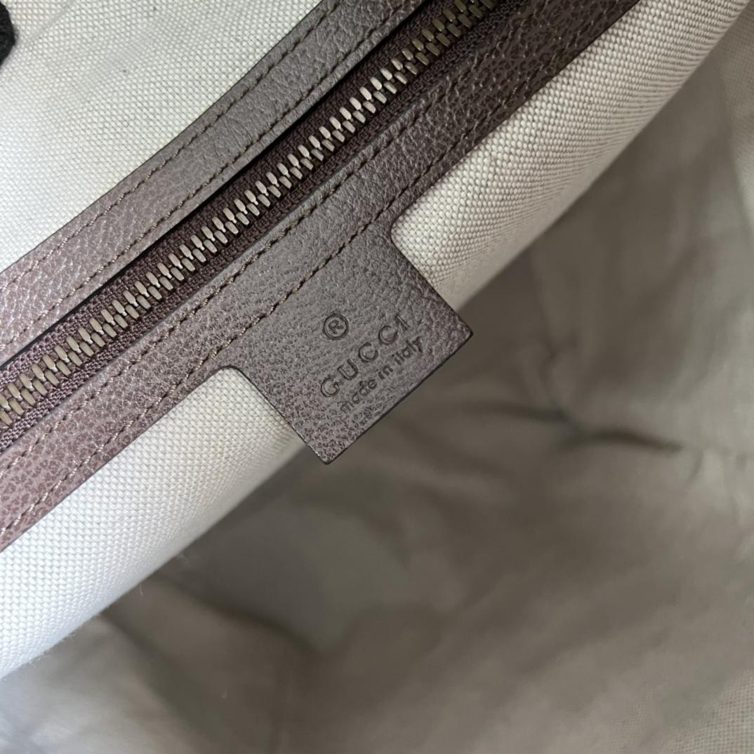 Gucci Cat Print Skateboard Backpack(34-42-16cm) - DopestKickz