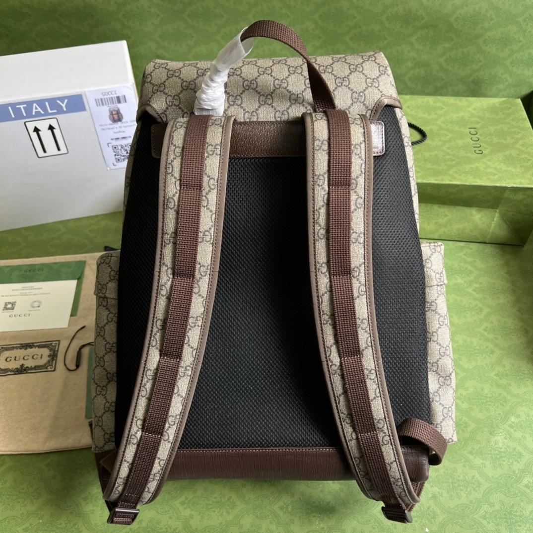 Gucci Cat Print Skateboard Backpack(34-42-16cm) - DopestKickz