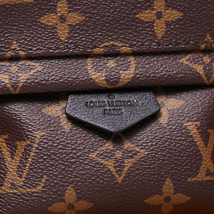 Louis VuittonPalm Springs Mini Backpack(17-22-10cm)   M44873 - DopestKickz