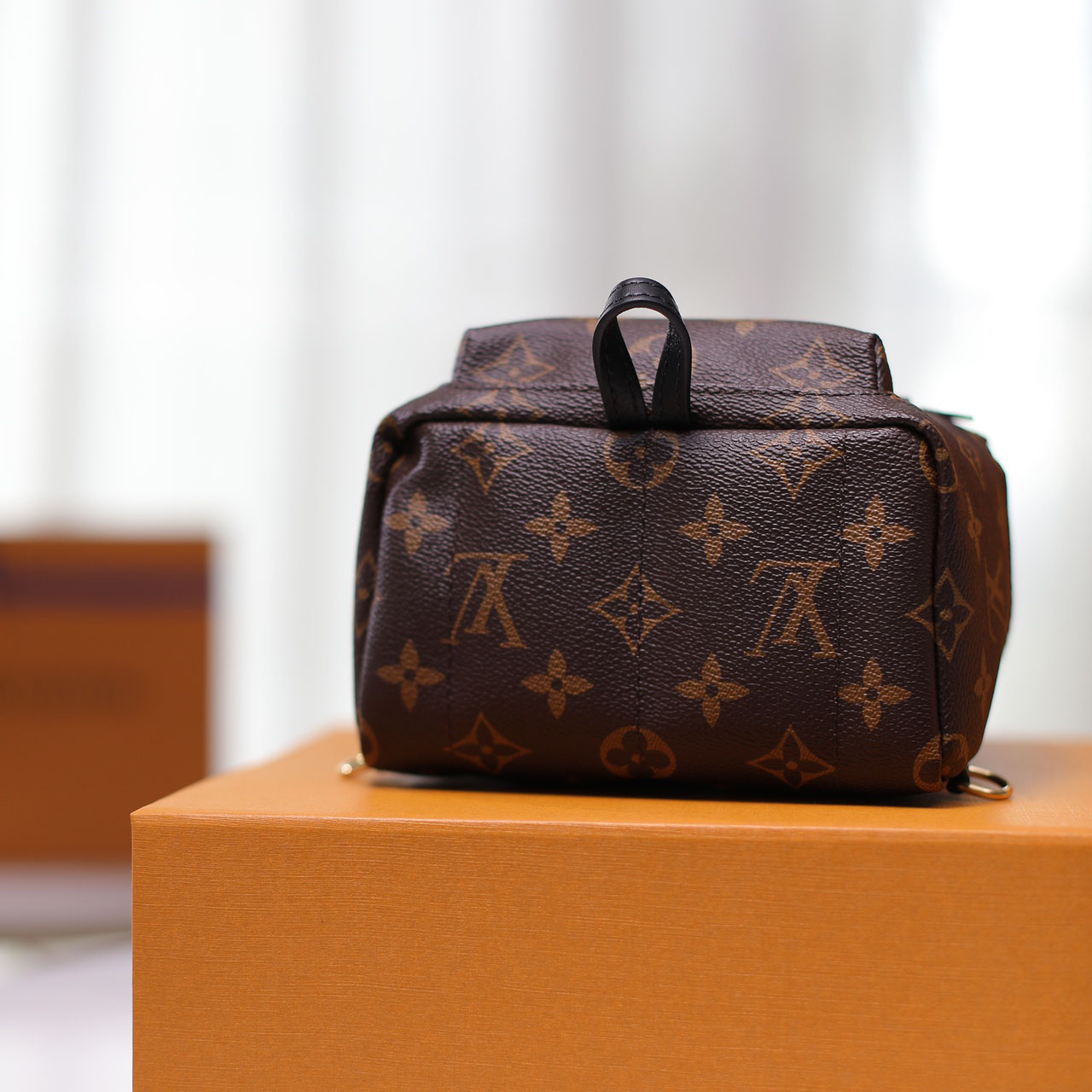 Louis VuittonPalm Springs Mini Backpack(17-22-10cm)   M44873 - DopestKickz