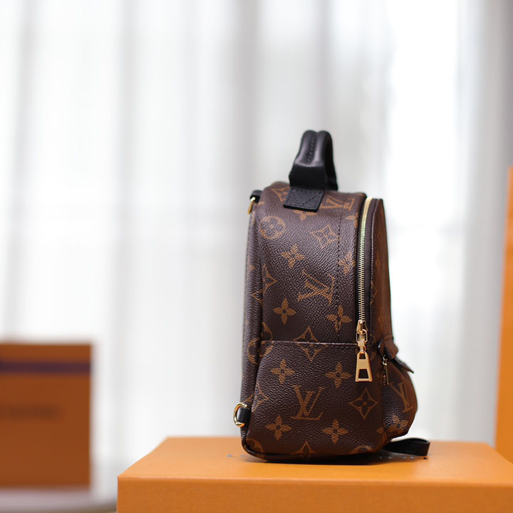 Louis VuittonPalm Springs Mini Backpack(17-22-10cm)   M44873 - DopestKickz