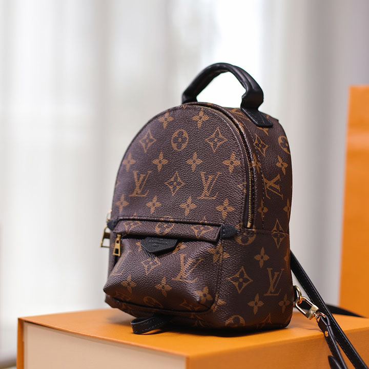 Louis VuittonPalm Springs Mini Backpack(17-22-10cm)   M44873 - DopestKickz