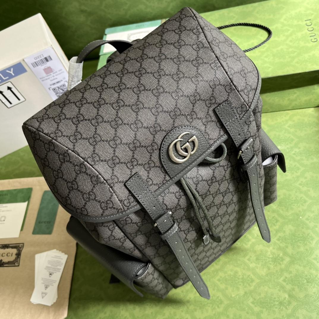 Gucci Ophidia GG Medium Backpack(24-40-16cm) - DopestKickz