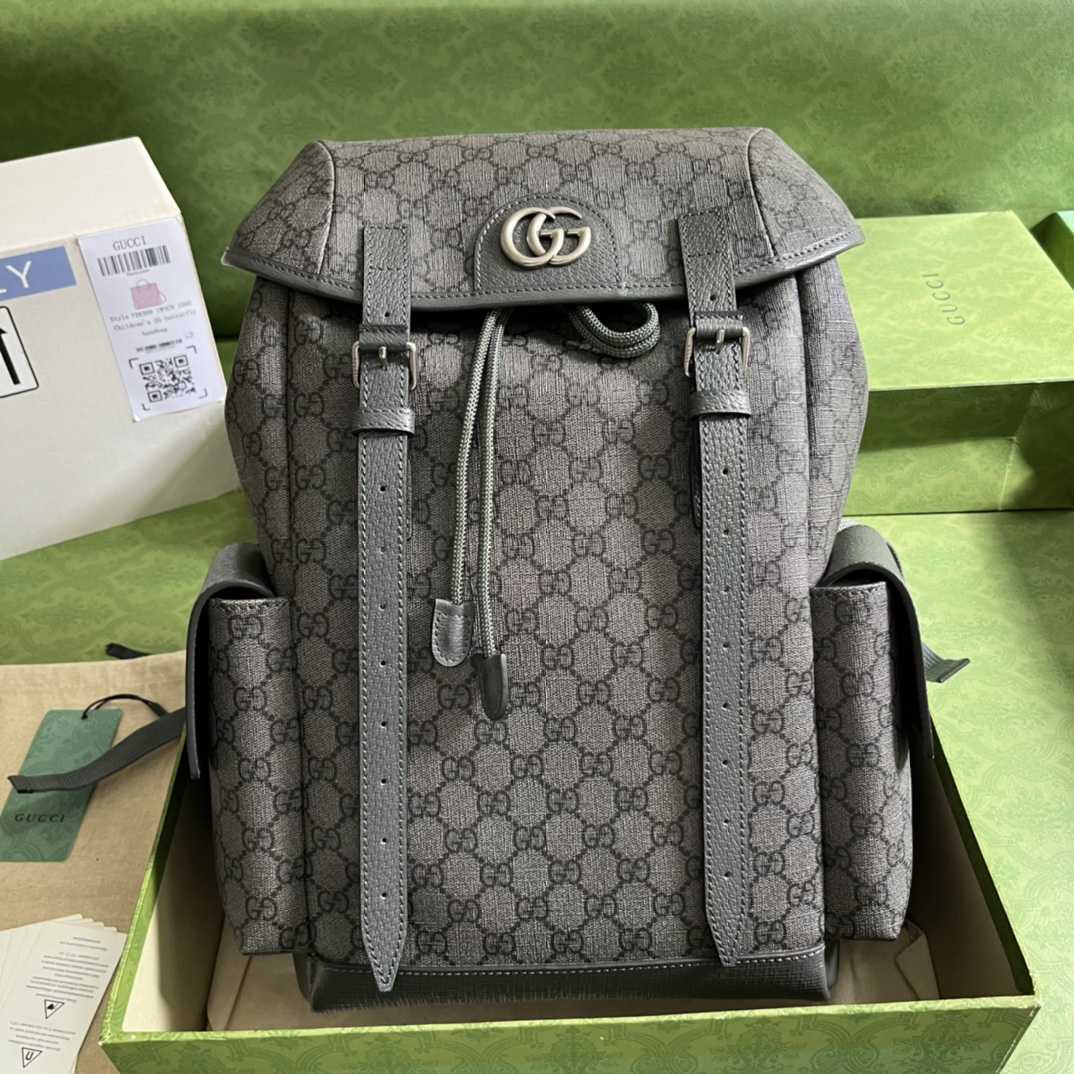 Gucci Ophidia GG Medium Backpack(24-40-16cm) - DopestKickz