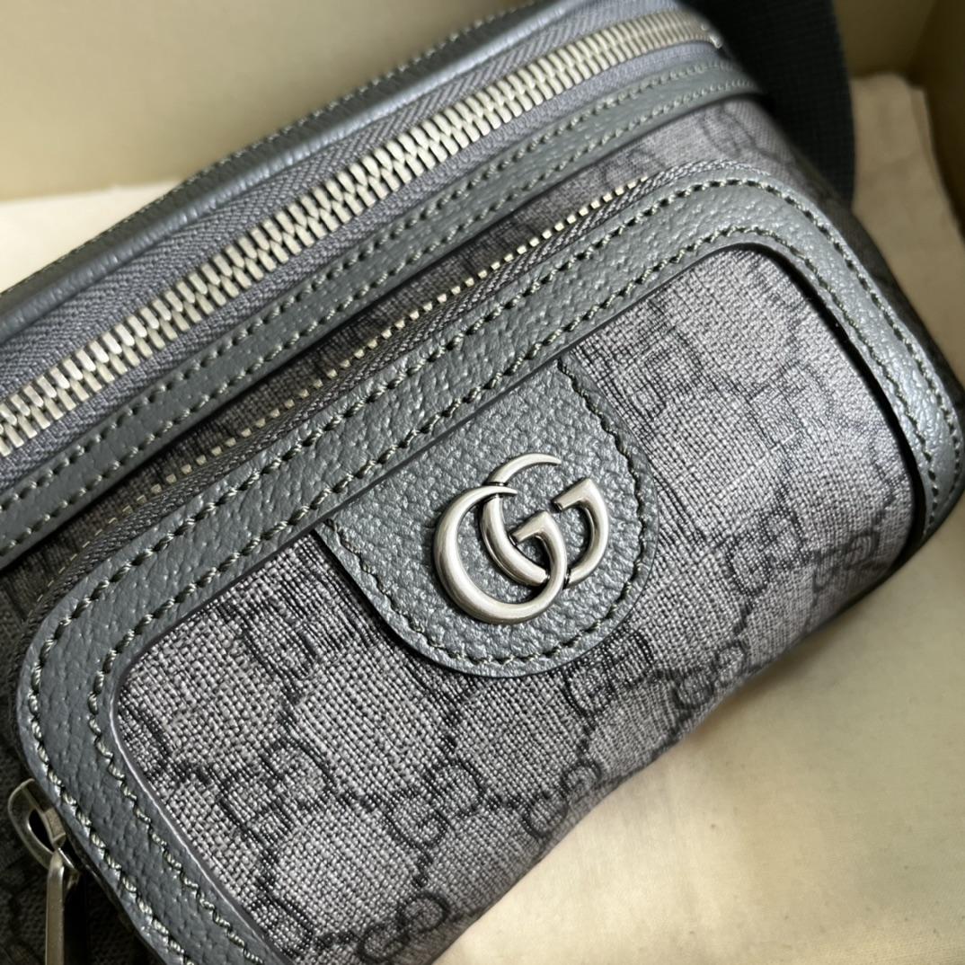 Gucci Ophidia Belt Bag(23-12-2.5cm) - DopestKickz