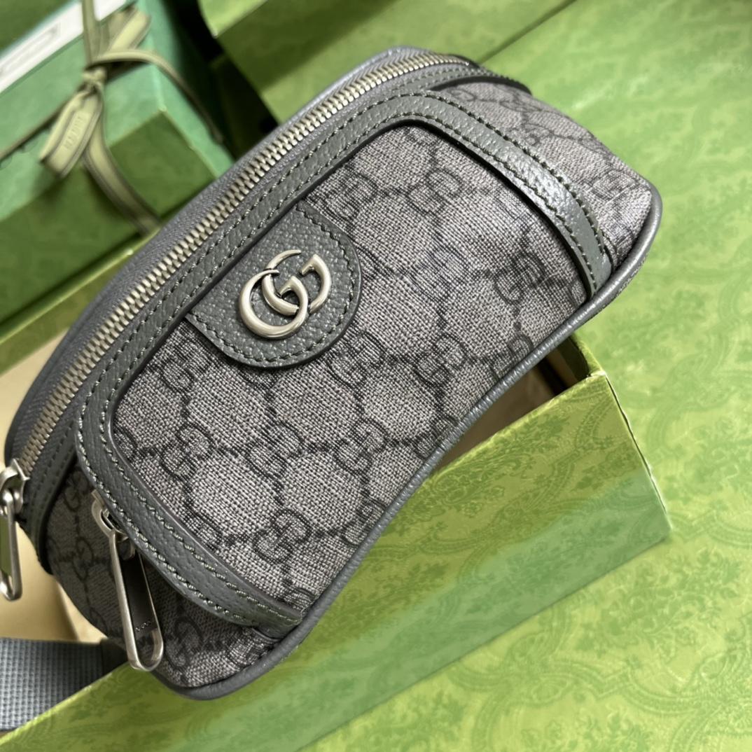 Gucci Ophidia Belt Bag(23-12-2.5cm) - DopestKickz