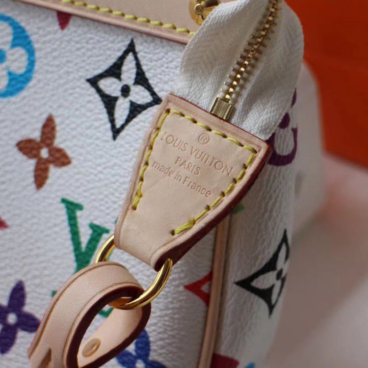 Louis Vuitton x Takashi Murakami Pochette Accessoires Clutch Bag(22-13cm) - DopestKickz