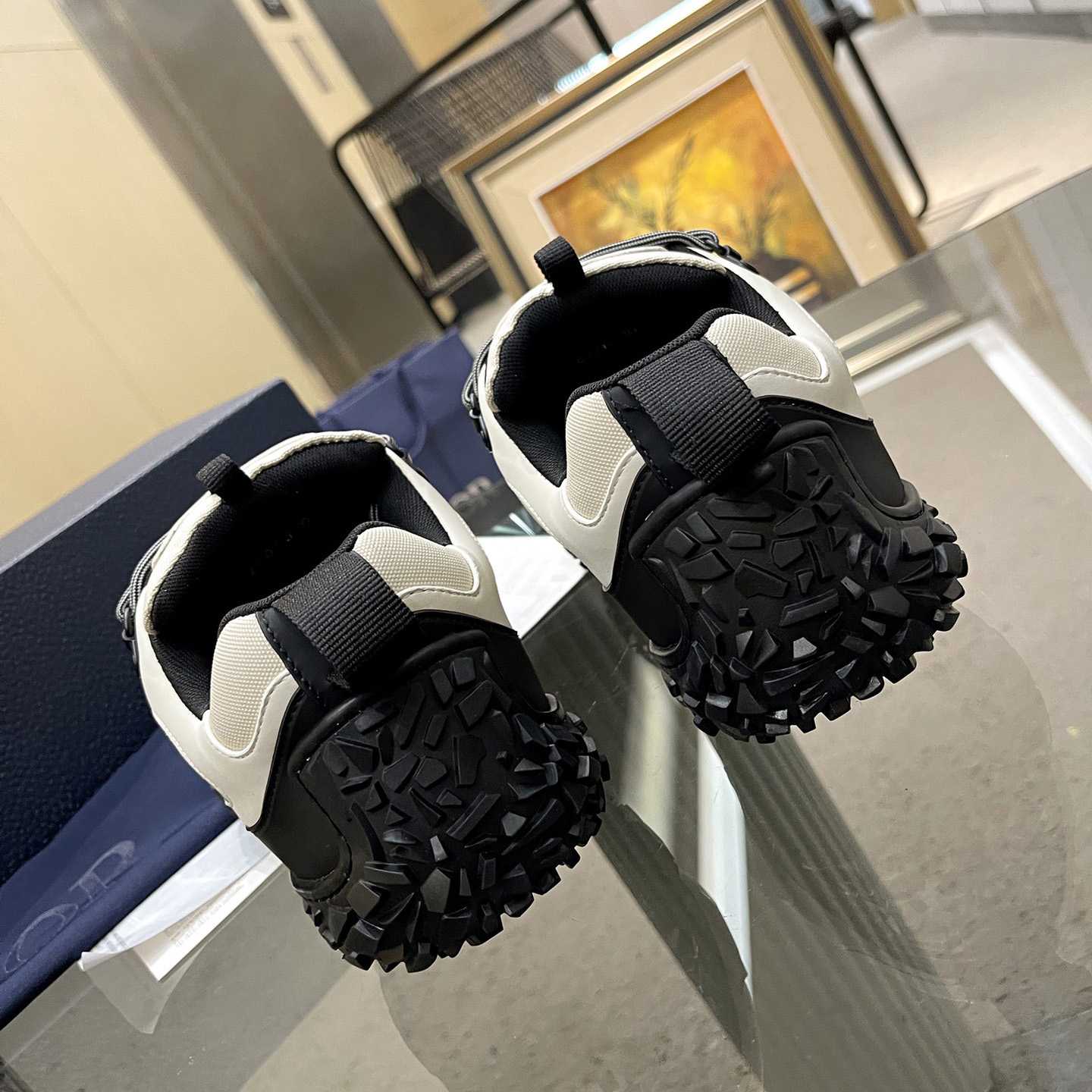 Dior Diorizon Hiking Shoe - DopestKickz