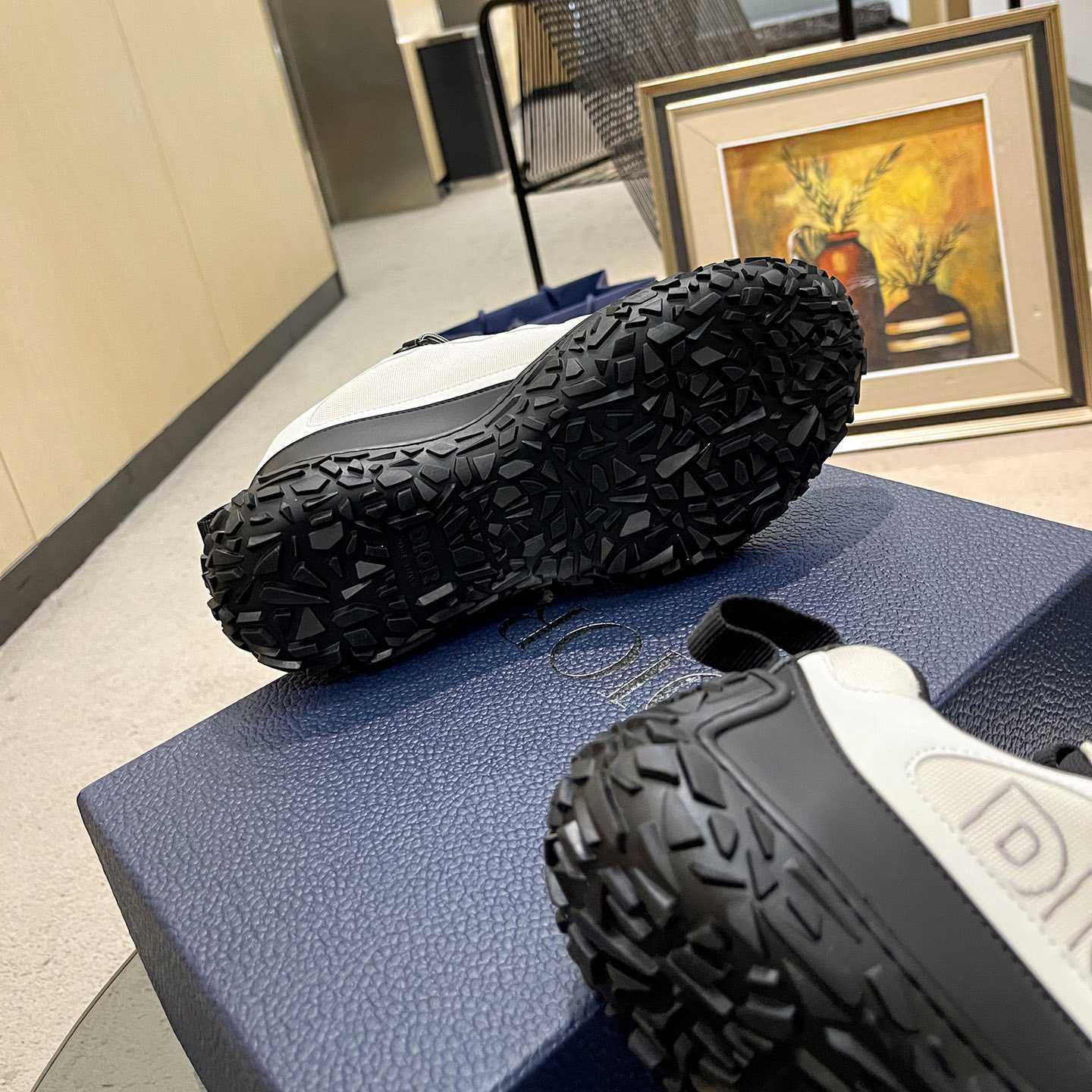 Dior Diorizon Hiking Shoe - DopestKickz