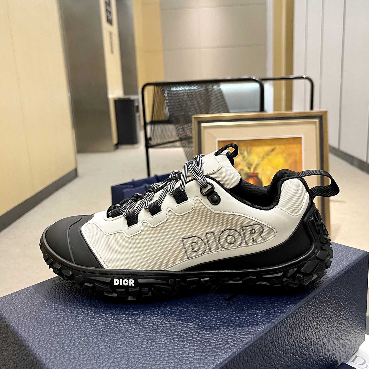 Dior Diorizon Hiking Shoe - DopestKickz