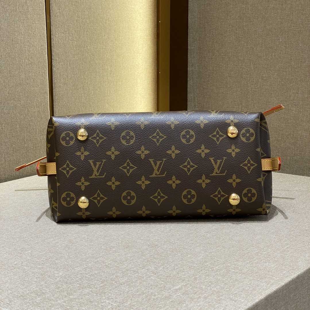 Louis Vuitton CarryAll PM (29-24-12cmCM)   M46203 - DopestKickz