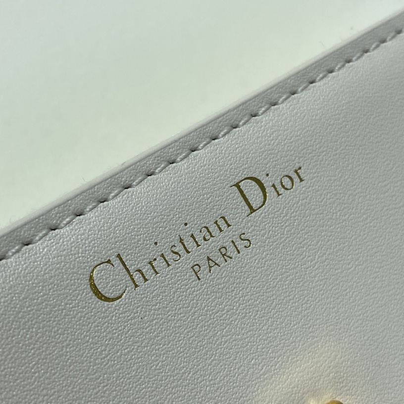 Dior 30 Montaigne Avenue Bag - DopestKickz