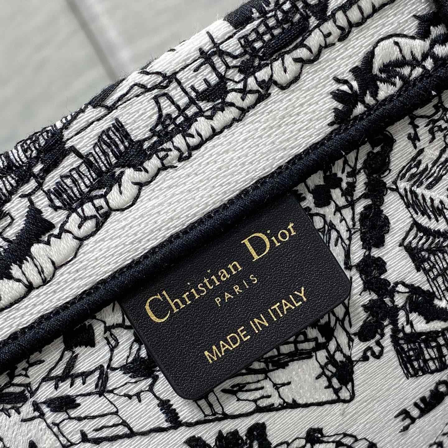 Dior Large Dior Book Tote - DopestKickz