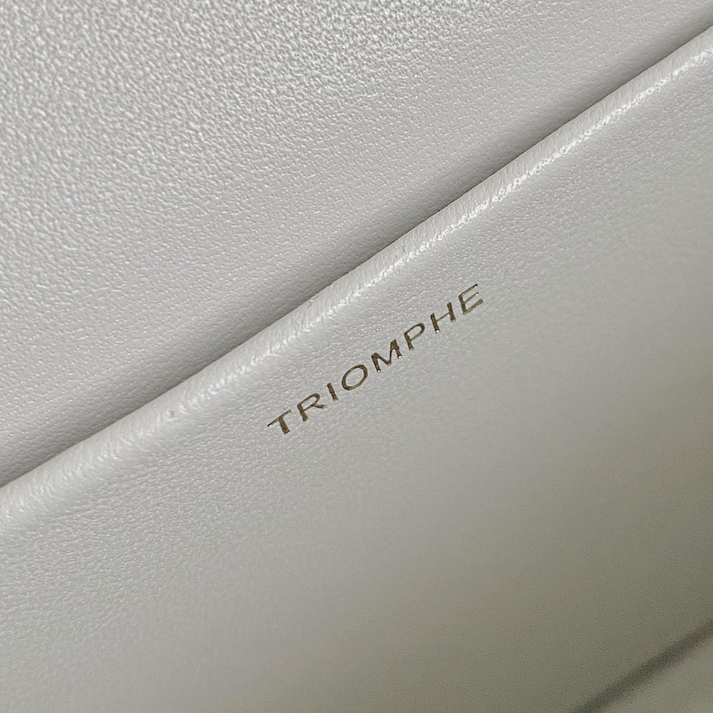 Celine Chain Shoulder Bag Triomphe In Shiny Calfskin - DopestKickz