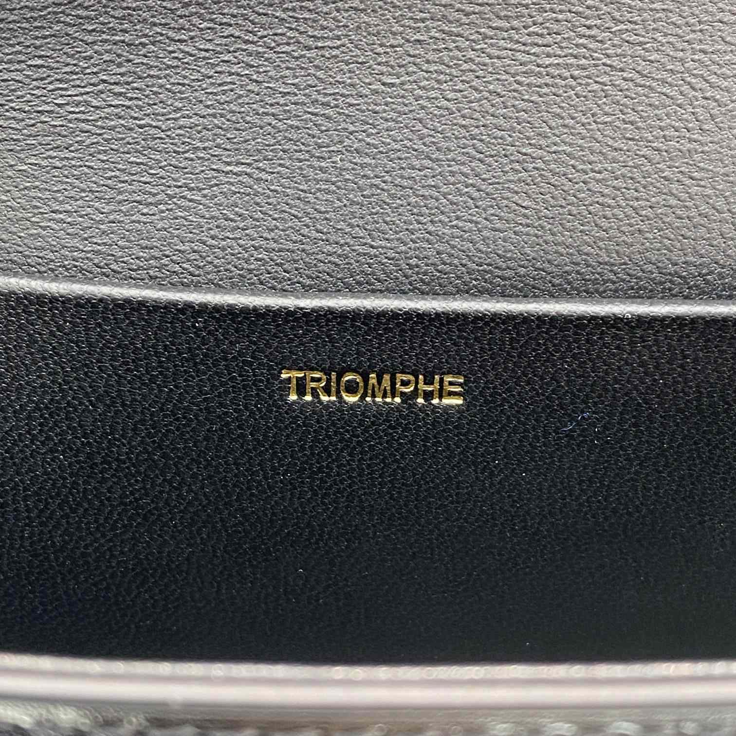 Celine Chain Box Triomphe Bag In Shiny Calfskin - DopestKickz