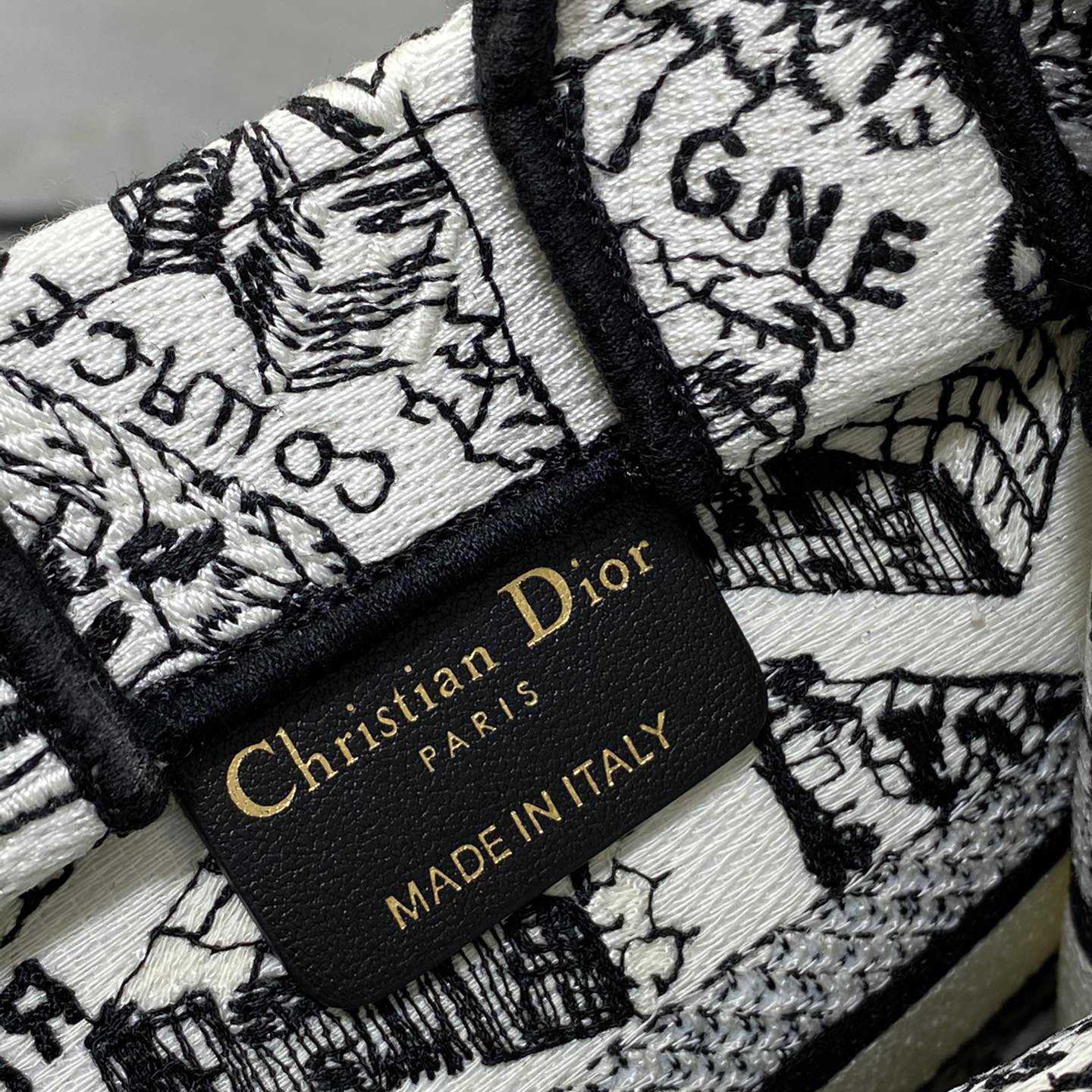 Dior Mini Dior Book Tote Phone Bag - DopestKickz