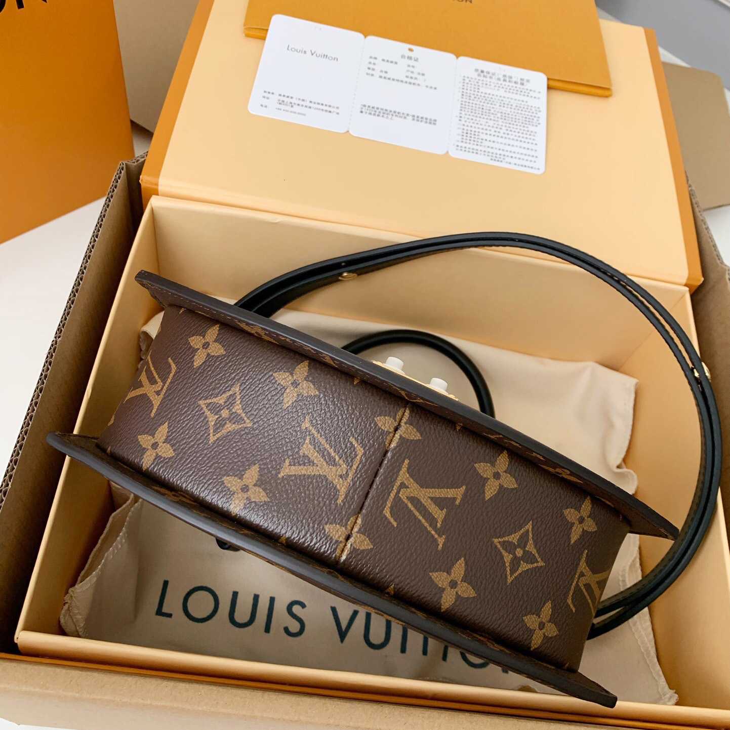 Louis Vuitton Tilsitt Handbag   M46548 - DopestKickz