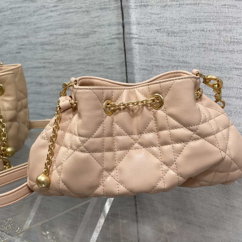 Dior Medium Dior Ammi Bag - DopestKickz