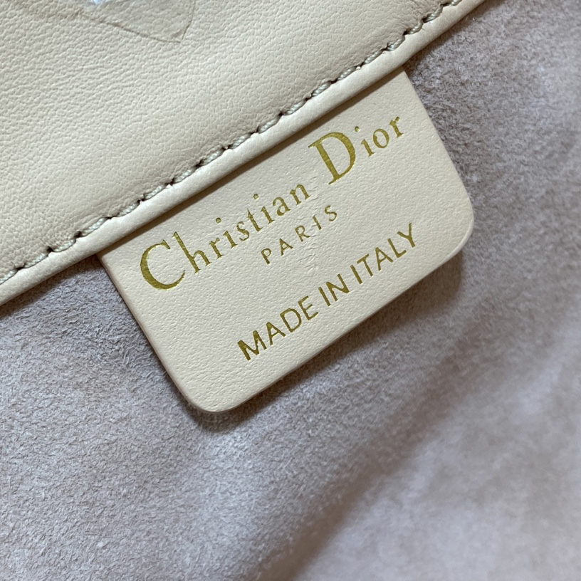 Dior Medium Dior Ammi Bag - DopestKickz