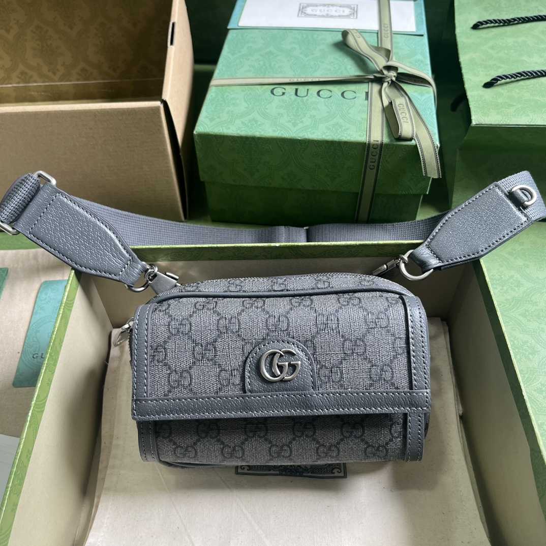 Gucci Ophidia GG Mini Bag(20-12.5-9cm)    - DopestKickz