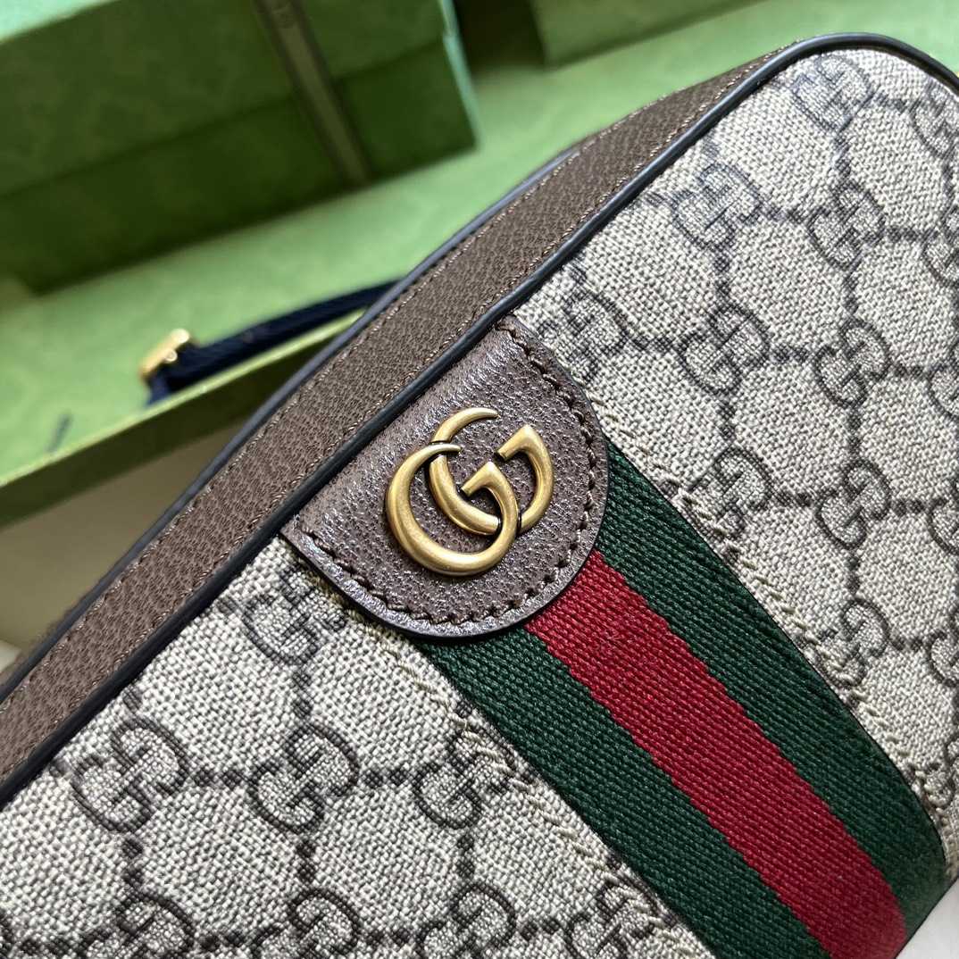 Gucci Ophidia GG Small Shoulder Bag (23.9x 15.2x 6.9cm) - DopestKickz