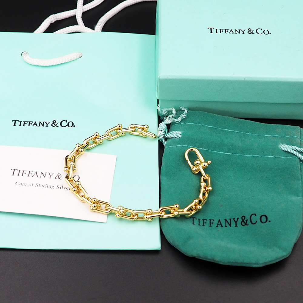 Tiffany&CO Small Link Bracelet - DopestKickz