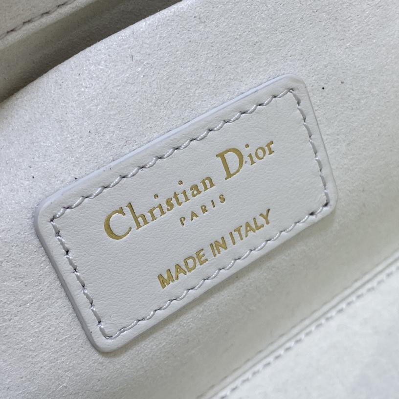 Dior Medium Lady D-Joy Bag - DopestKickz