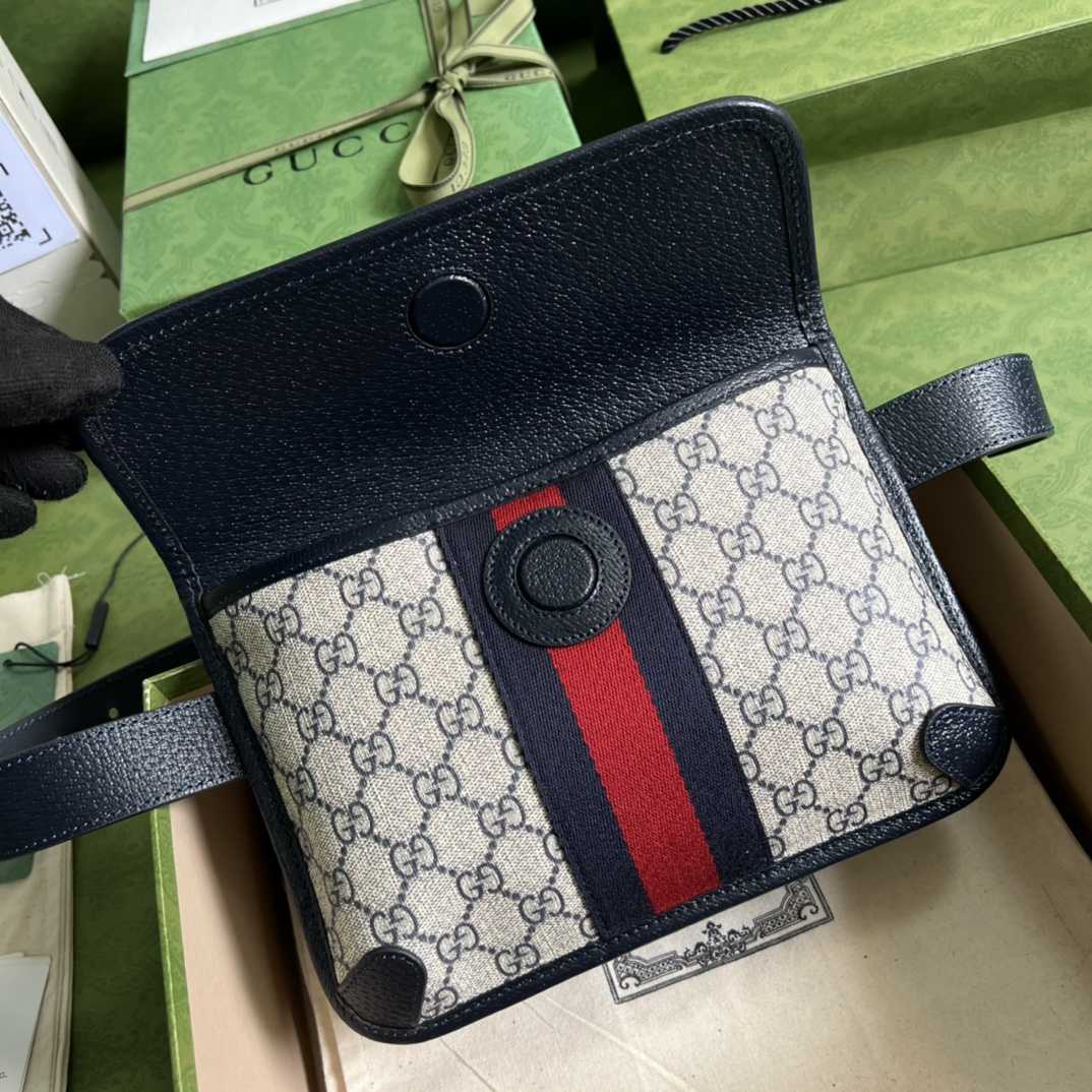Gucci Ophidia Belt Bag(22*17*3.5cm) - DopestKickz