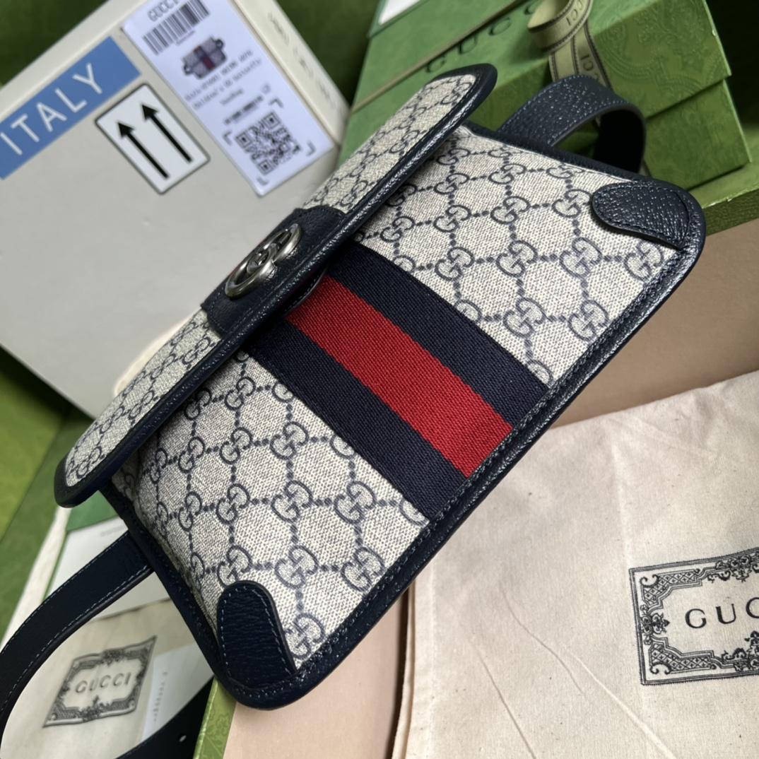 Gucci Ophidia Belt Bag(22*17*3.5cm) - DopestKickz