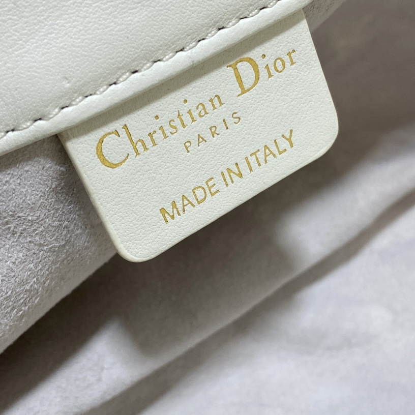 Dior Medium Dior Ammi Bag - DopestKickz