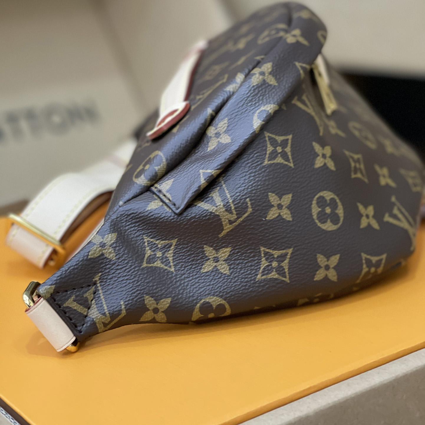 Louis Vuitton Bumbag(37-14-13cm)      M43644 - DopestKickz
