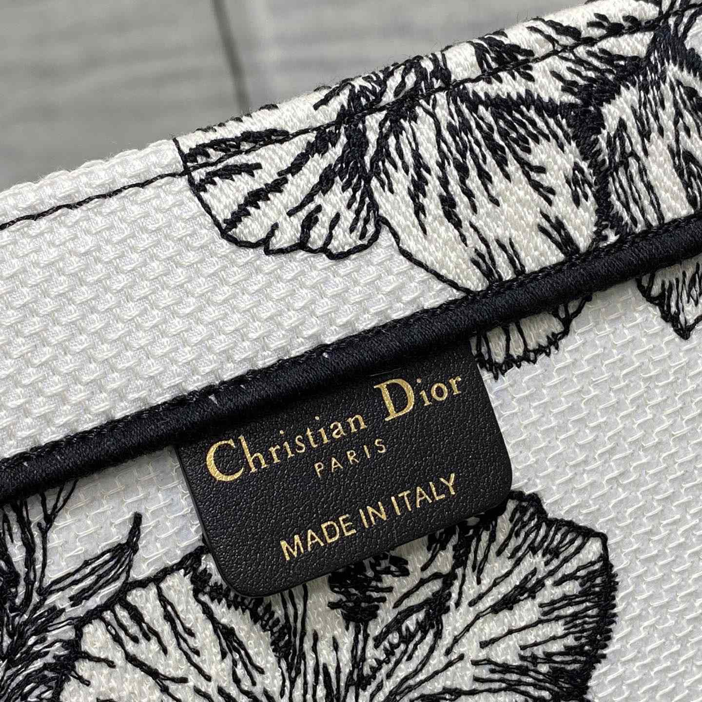 Dior Large Dior Book Tote - DopestKickz