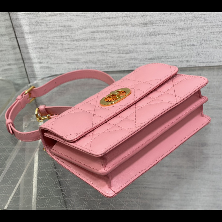 Dior Miss Caro Mini Bag - DopestKickz