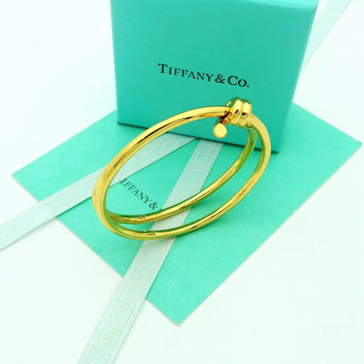 Tiffany&CO Tiffany Knot Double Row Hinged Bangle  - DopestKickz
