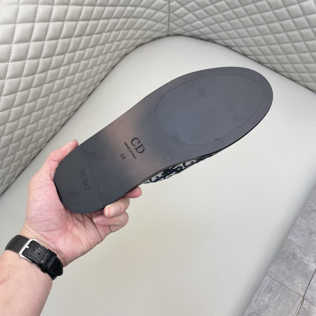 Dior Indior Mule - DopestKickz