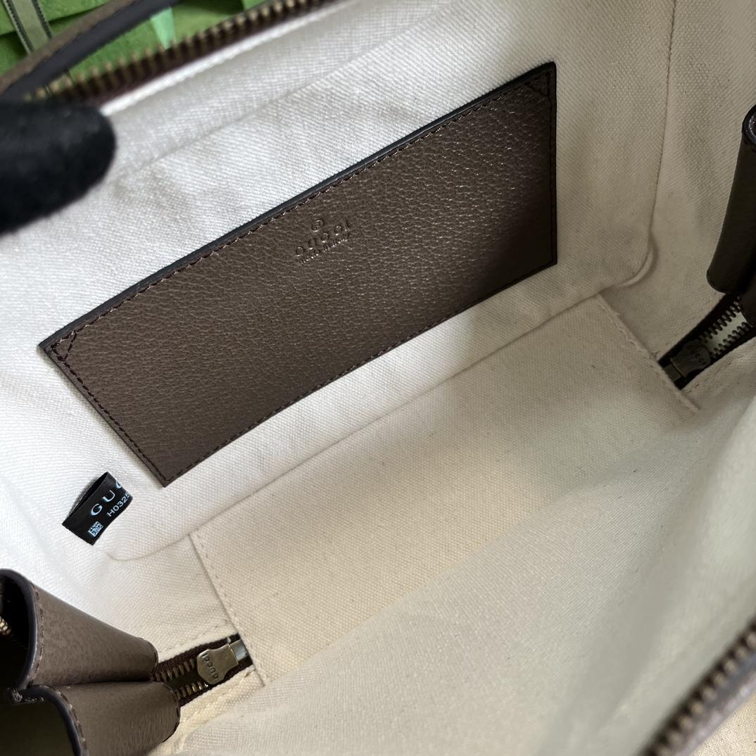 Gucci Ophidia Small Shoulder Bag With Web (24x 16x 7cm) - DopestKickz