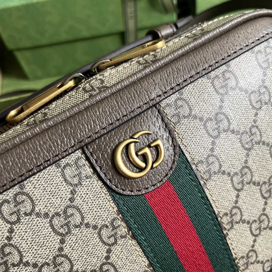 Gucci Ophidia Small Shoulder Bag With Web (24x 16x 7cm) - DopestKickz