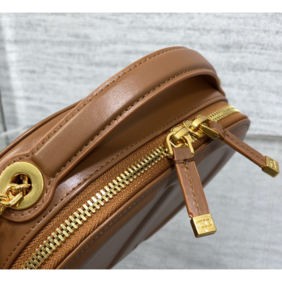 Dior CD Signature Oval Camera Bag - DopestKickz
