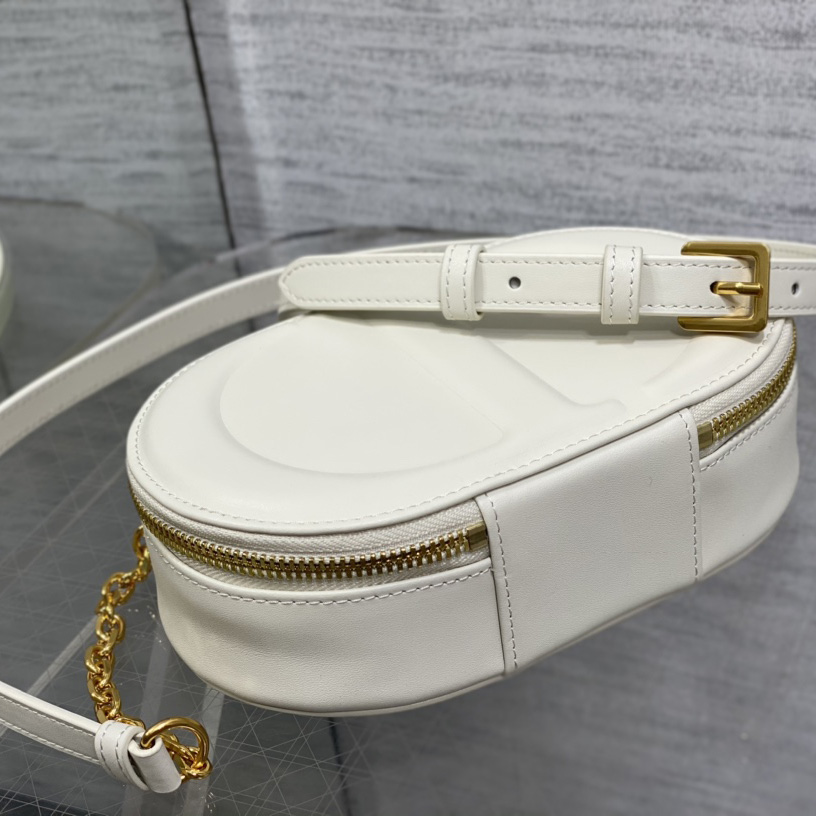 Dior CD Signature Oval Camera Bag - DopestKickz