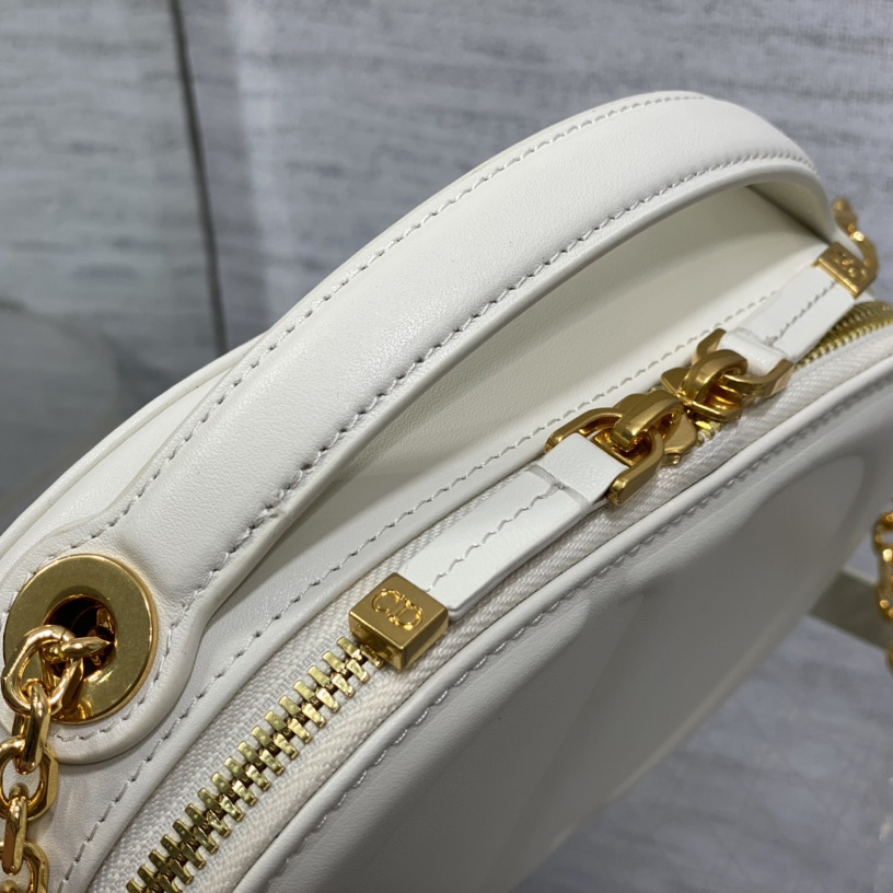 Dior CD Signature Oval Camera Bag - DopestKickz