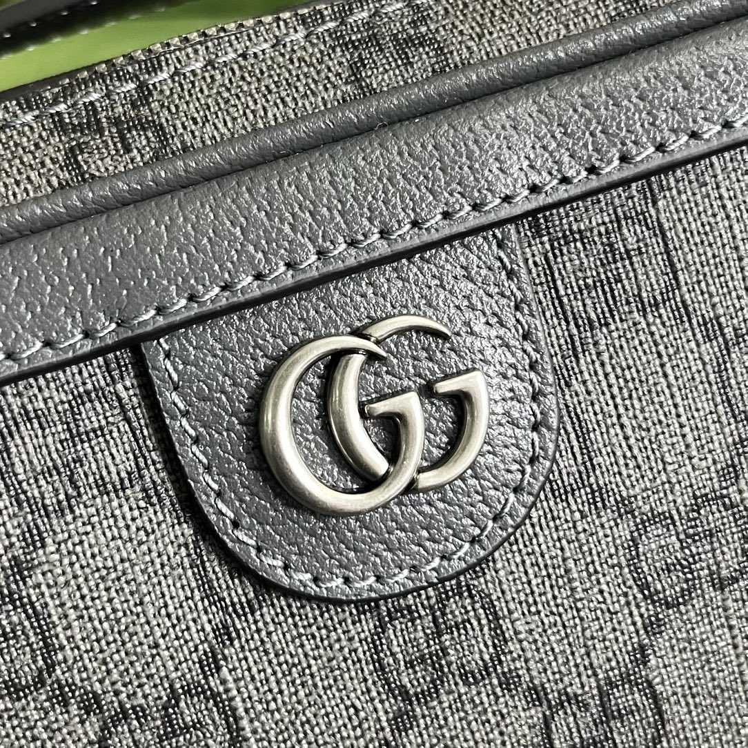 Gucci Ophidia Small Shoulder Bag (24x 16x 7cm) - DopestKickz